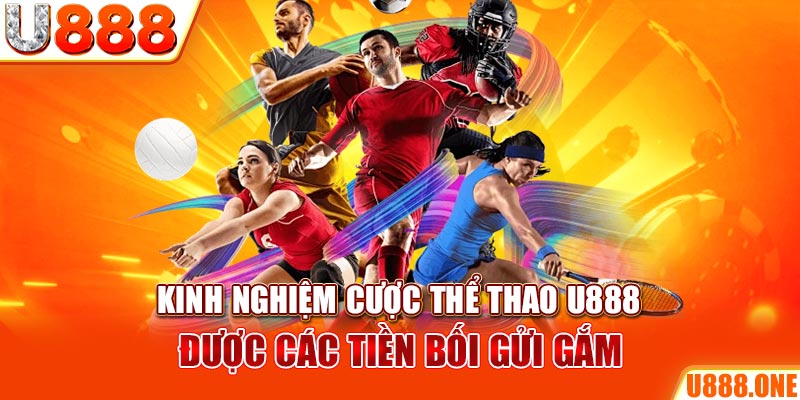 quat club ÁT CHỦ BÀI GIÀNH LẤY ZHUANG NIUNIU ( XEM 3 LÁ )