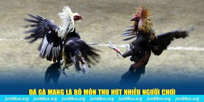 quat club xổ số long an