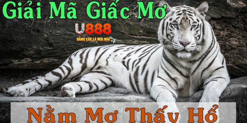 quat club Bài Poker Joker