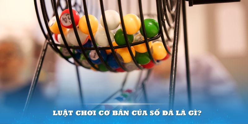 quat club Đĩa màu ace