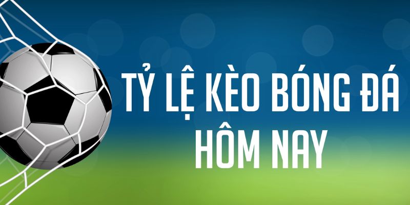 quat club ÁT CHỦ MÁY HOA QUẢ THẦN TÀI