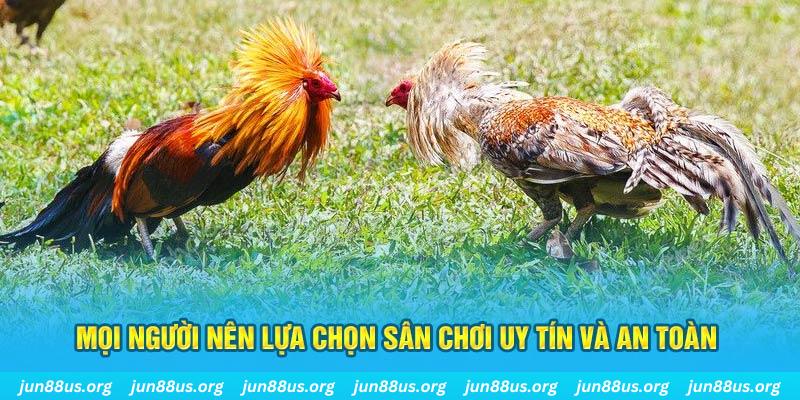 quat club Tài Xỉu