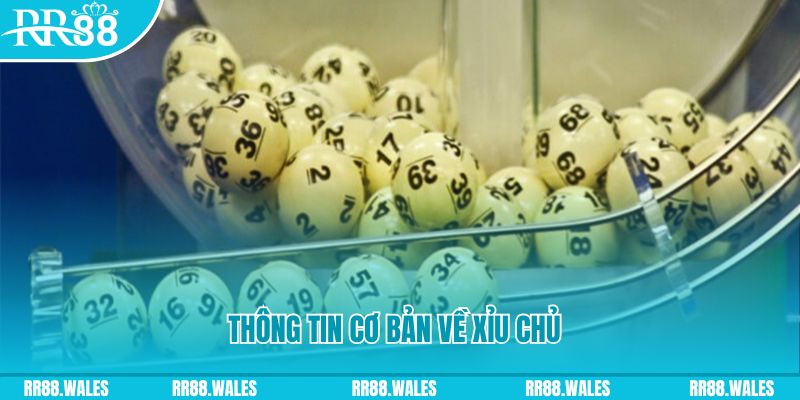 quat club xổ số đà nẵng